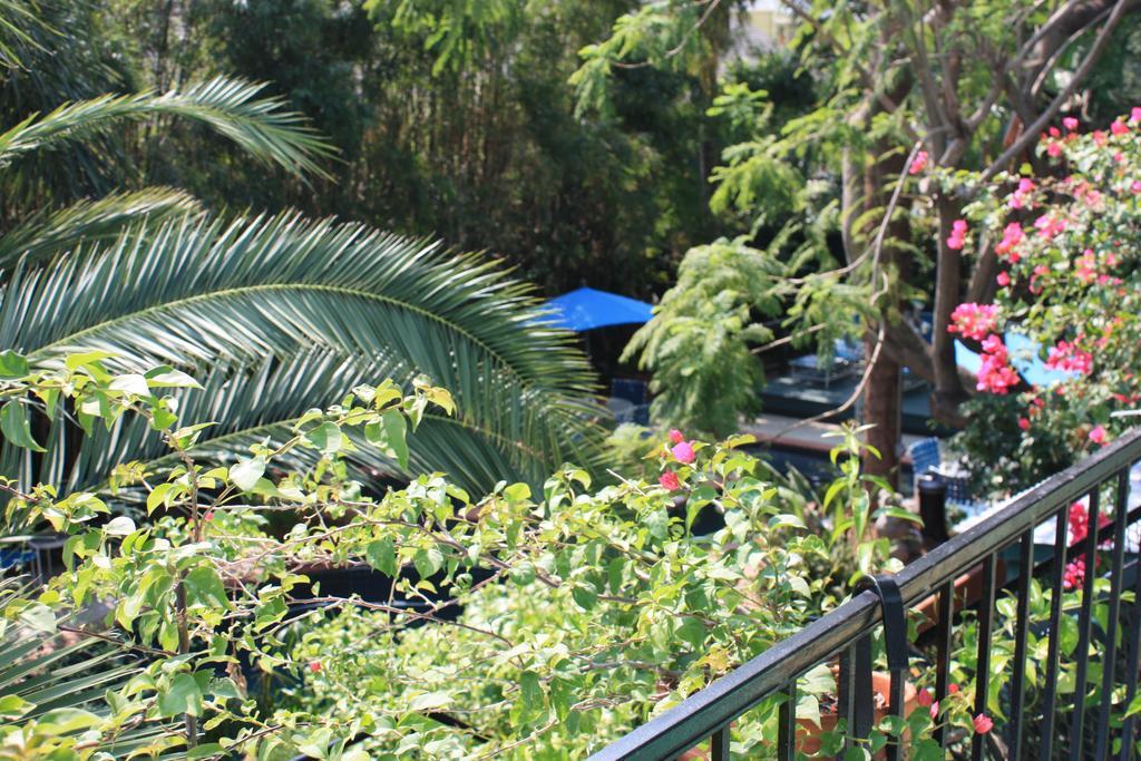 The Green House Inn Ню Орлиънс Екстериор снимка
