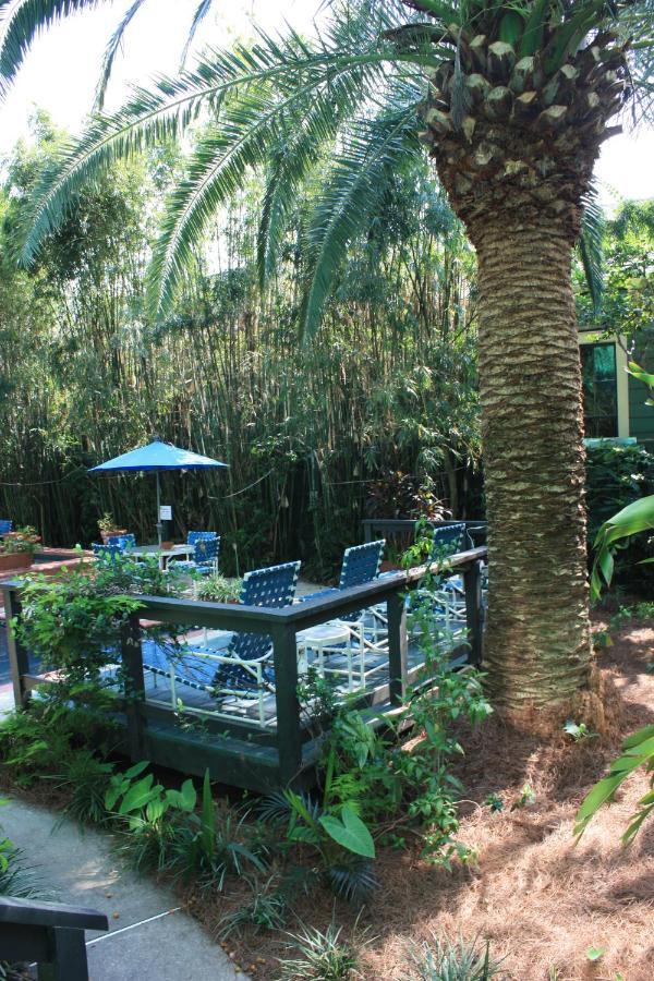 The Green House Inn Ню Орлиънс Екстериор снимка